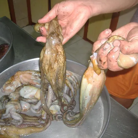 Theresa At Karpaz Peninsula Hotel 2*