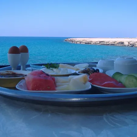 Theresa At Karpaz Peninsula فندق