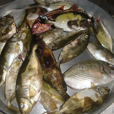 Theresa At Karpaz Peninsula فندق 2*