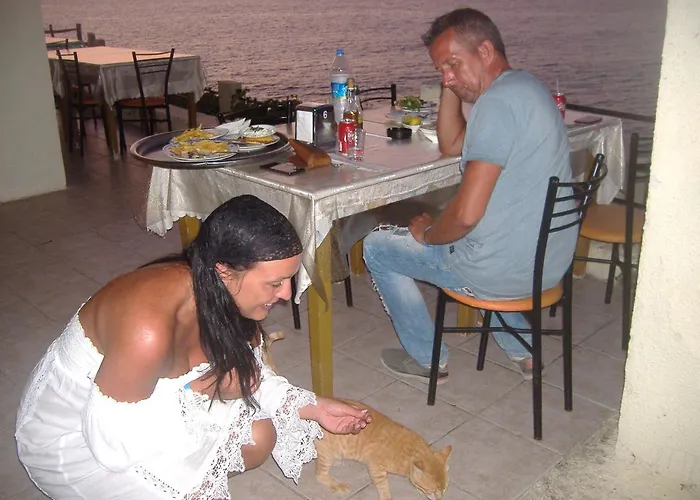 ホテル Theresa At Karpaz Peninsula 2*