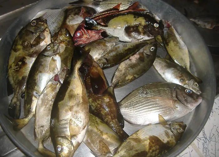 Theresa At Karpaz Peninsula ホテル 2*