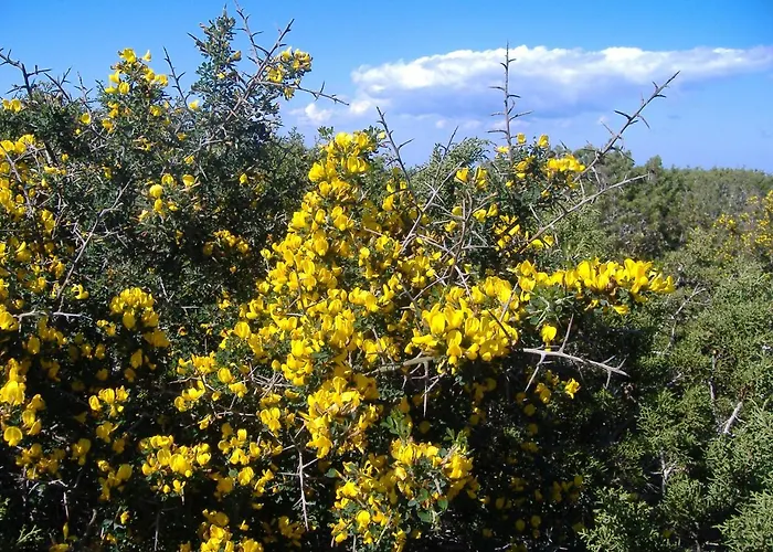 Theresa At Karpaz Peninsula ホテル